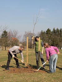 Pflanzung eines Birnbaumes (Queene) auf der Jubilumswiese zum 20-jhrigen Jubilum von ASt