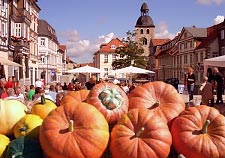 K&uuml;rbisfest in K&ouml;nigslutter