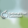 Logo NFC