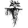 Logo VEN e.V.