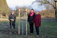 <b>Baumpflanzung eines „Herrenapfel“ zum 25-jährigen Jubiläum des Pomologen-Vereins</b><br /> <i>von links:</i> Eberhard Hieber, Sabine Fortak, Birgit Wöbbeking