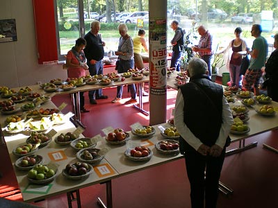 Sortenausstellung und Sortenbestimmung waren gut besucht