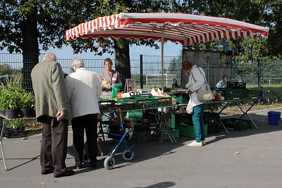 ... Gemse und viele bunte Tomaten