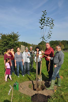 Die AG Streuobst spendete einen „Wettringer Taubenapfel“, ...<p style='text-align:right; margin-right:4px; font-size:0.9em; font-style:italic;'> Foto: Marita Bullmann, Volksstimme</p>