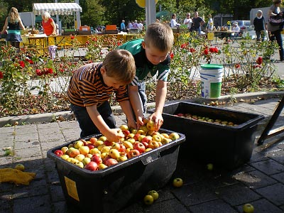 Viele junge Helfer haben die pfel gewaschen, ...