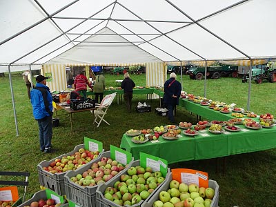 Apfelsortenausstellung und -verkauf