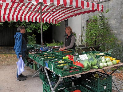 Gemsevielfalt bei „Beates bunte Tomaten“