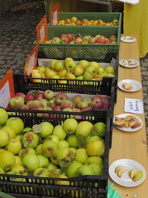 Tafelobstverkauf und -verkostung