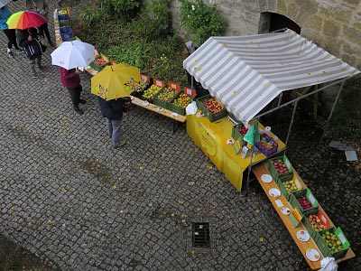 Blick aus dem Burgfenster …