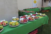 Sortenausstellung mit fast 100 Apfel- und Birnen-Sorten