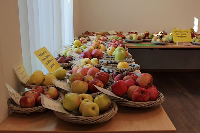 Sortenausstellung