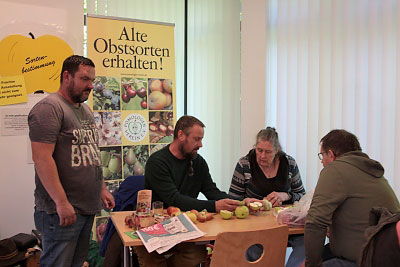 Pomologen bei der Sortenbestimmung