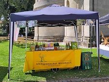 Bild vergrößern Unser ASt-Stand auf dem Domfest