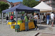 Wolfenbütteler Umwelt­markt (2023 auf dem Schlossplatz)