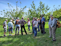 Bienenfhrung auf der Streuobstwiese an der Asse