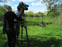 Unsere Schafe waren am 5./6. Mai im NDR-Fernsehen – das Filmteam beim Dreh