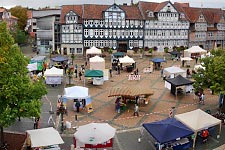 Wolfenbütteler Umwelt­markt (2020 auf dem Stadtmarkt)