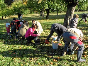 Viele Sammler auf der Wiese in Mariental