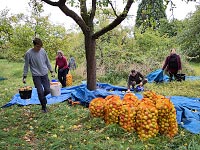 Sammeln auf der Weber-Wiese
