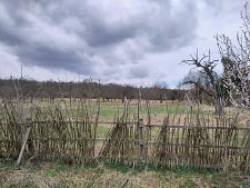 Bild vergrößern Weidenflechtzaun an der Streuobstwiese