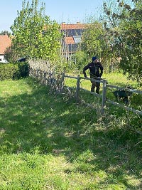 Bild vergrößern Alten Weidenzaun abbauen
