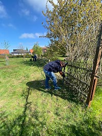 Bild vergrößern Zaun flechten